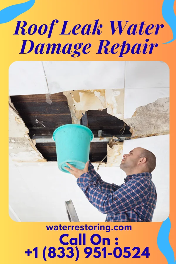 Roof Leak Water Damage Repair in Echo, OR